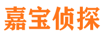 濠江市侦探公司